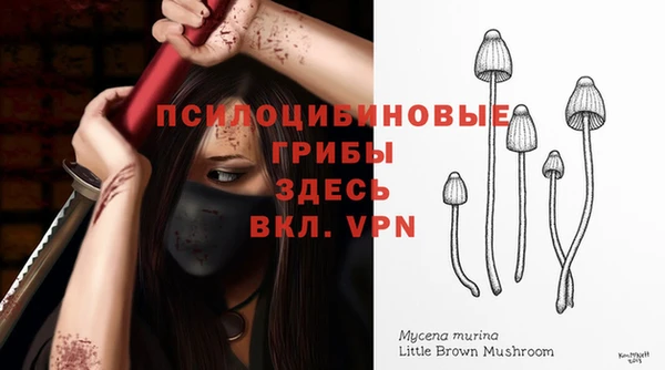 кокс Армянск