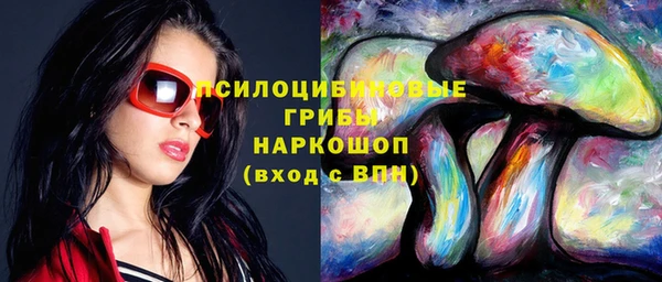 шишки Арсеньев