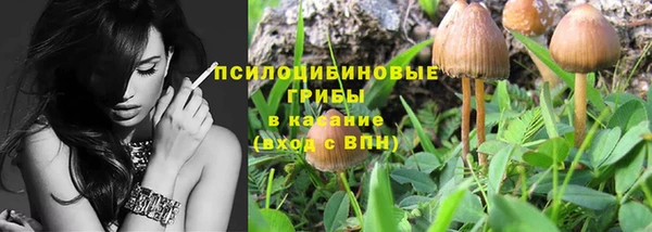 спайс Балабаново