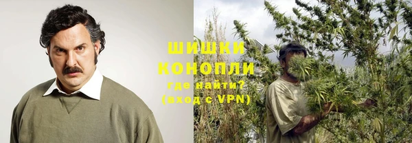 PSILOCYBIN Баксан
